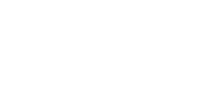 IT Genie